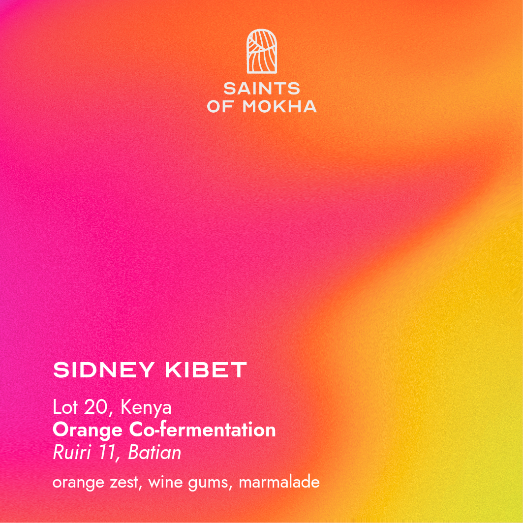 Sidney Kibet — Lot 20